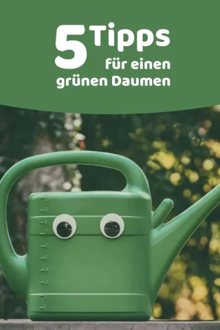 gruener_daumen gruener_daumen, kampagne pinterest